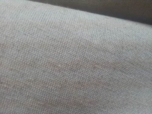 ������鲼