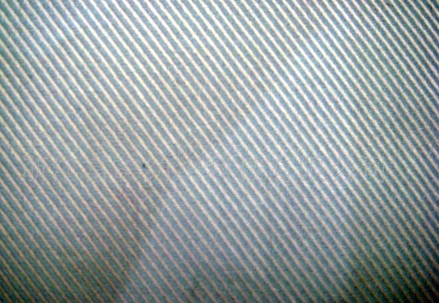 ���޵�����